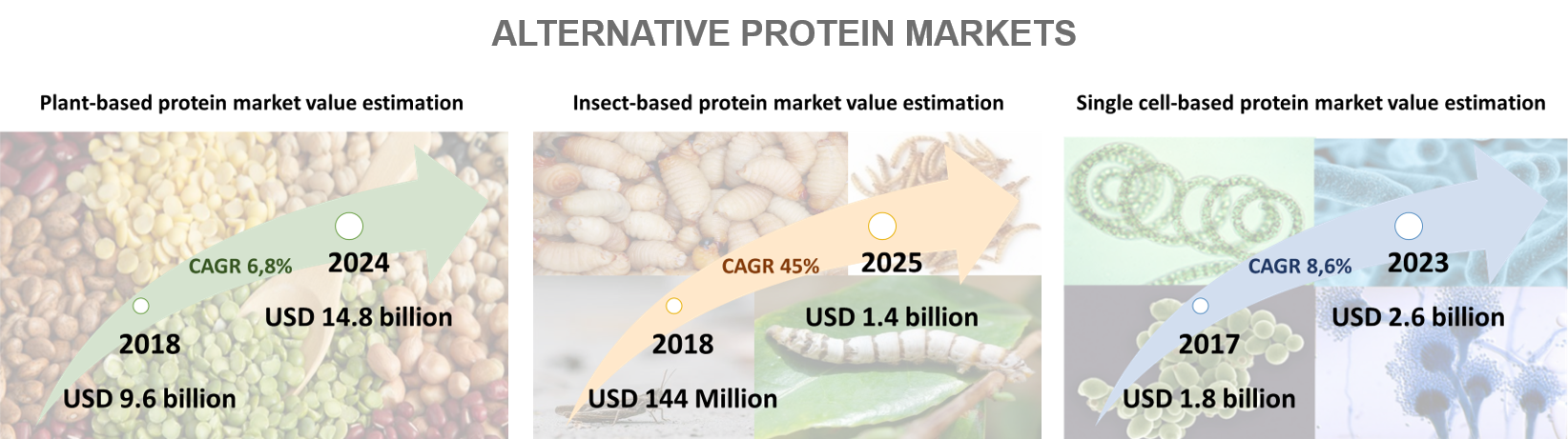 Alternative protein markets