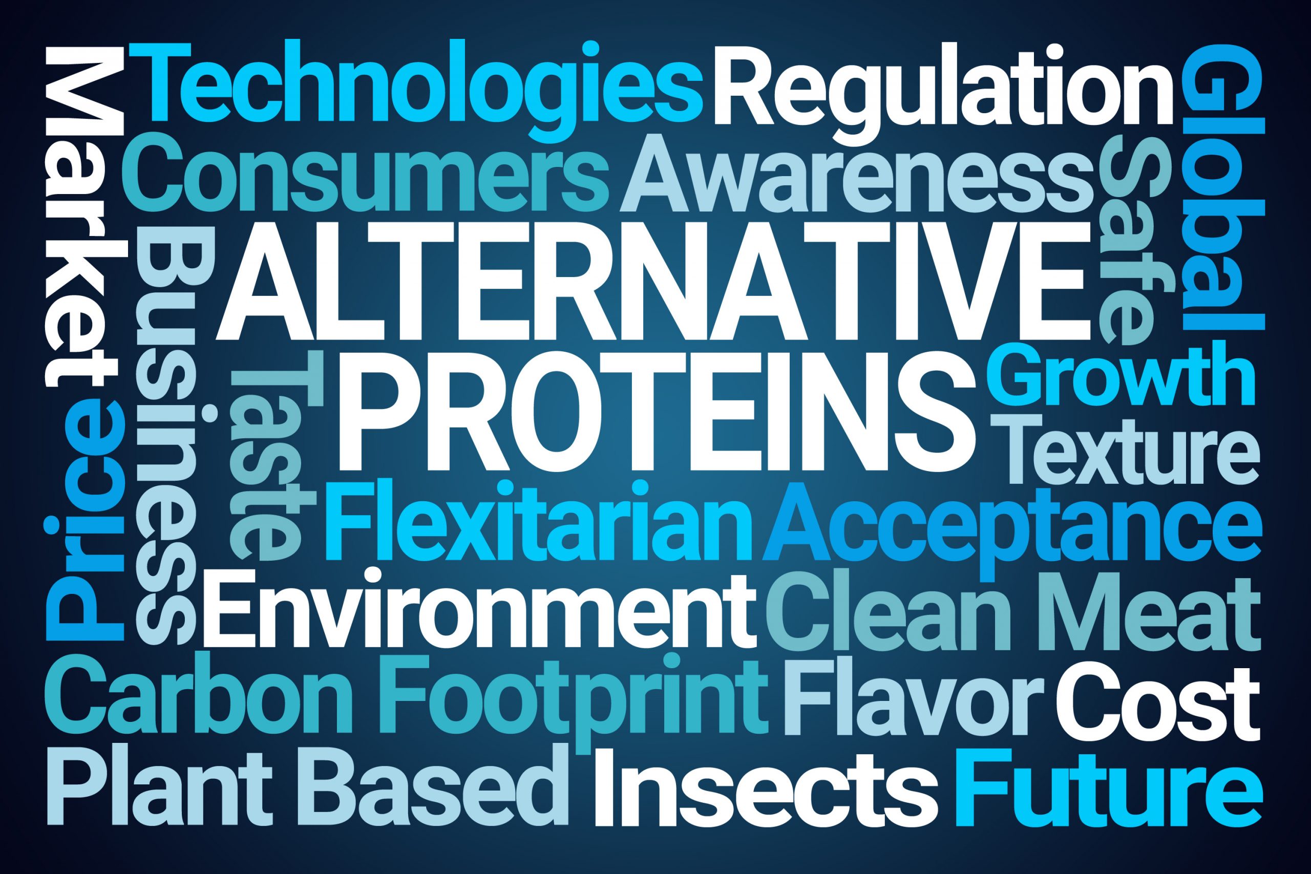 Alternative Proteins Word Cloud