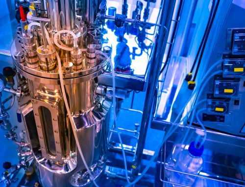 Alternative proteins, part 3: Biomanufacturing, Fermentation