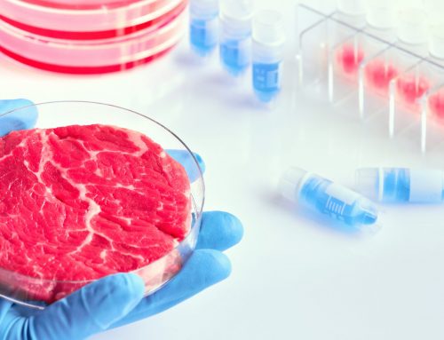 Alternative proteins, part 4: Cell-based meat