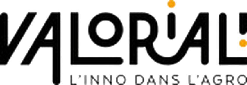 Logo Valorial
